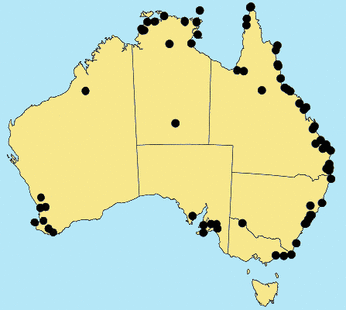 australia biome growth forests located old map where describe climate coasts major